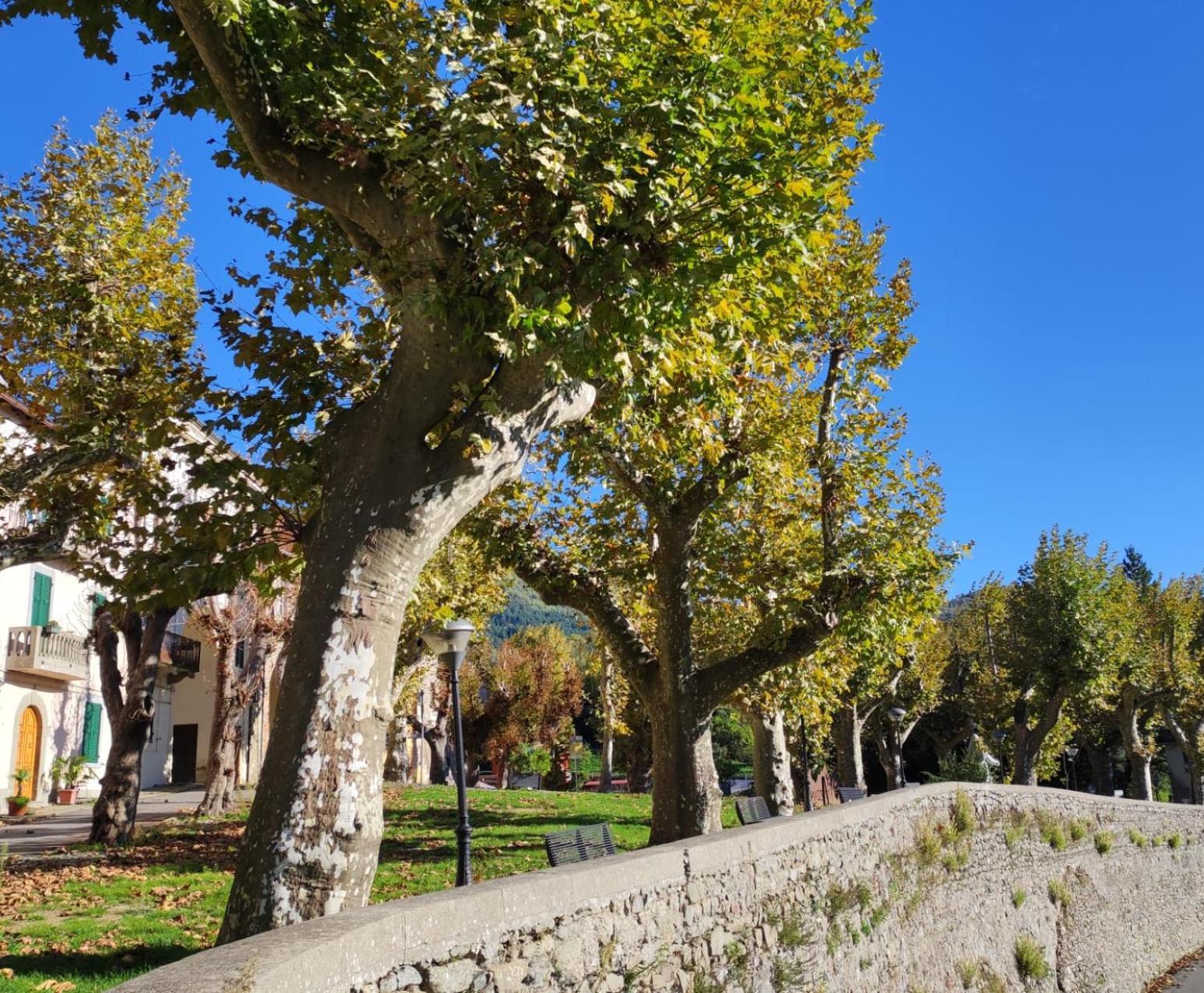 Cantoquinto Bed And Breakfast Fivizzano Exterior foto